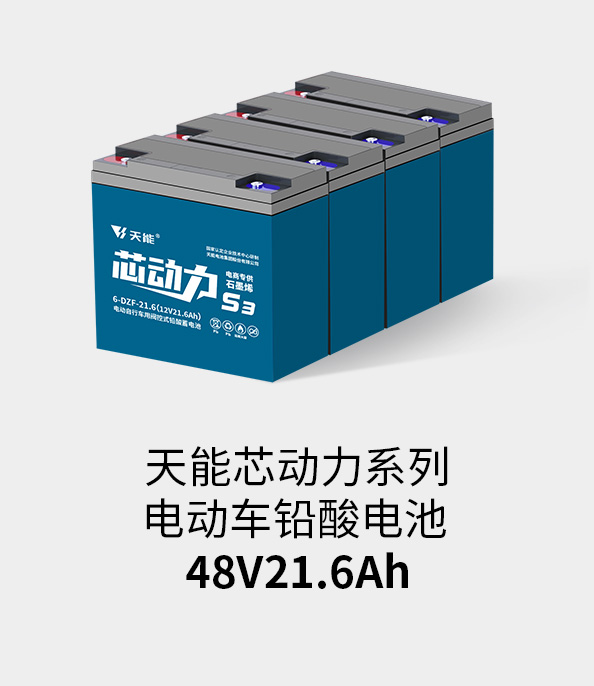 97522国际游戏官网电池48v20ah