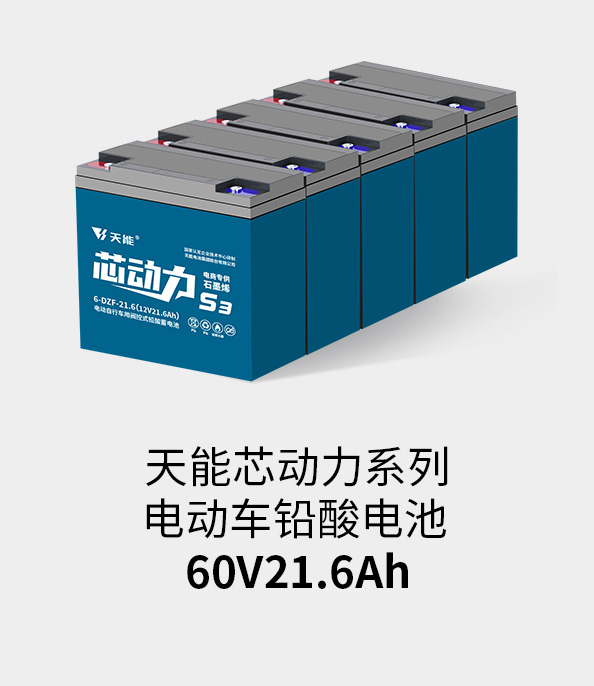 97522国际游戏官网电池60v20ah