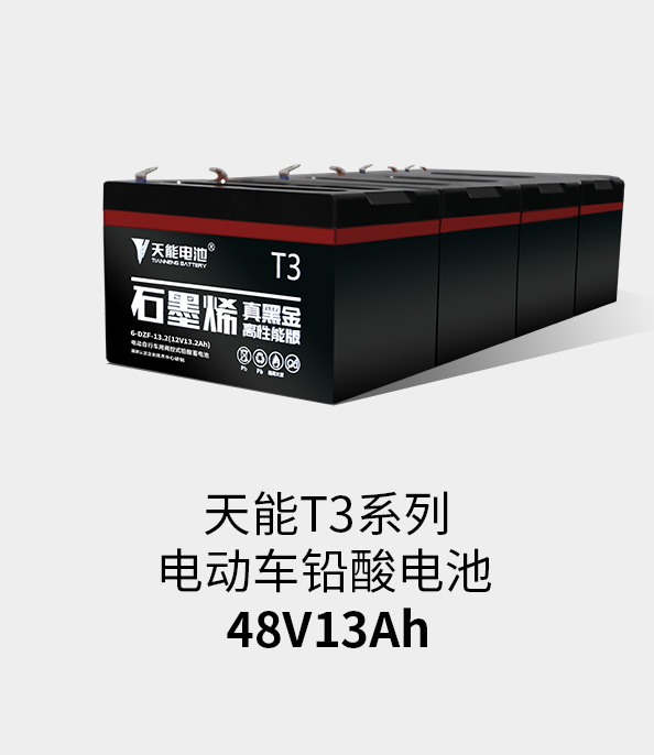 97522国际游戏官网T3系列48v13ah