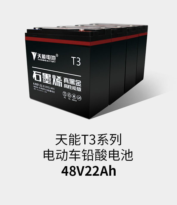 97522国际游戏官网T3系列48v22ah